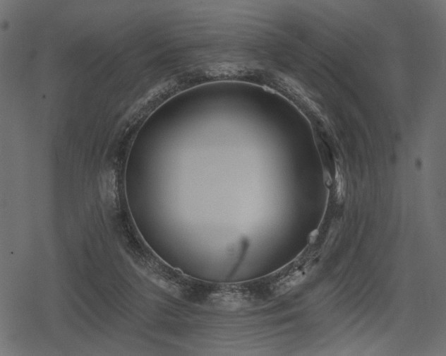 X0000078290211200611031240