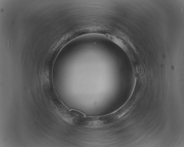 X0000078290212200611031240