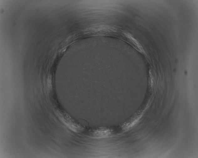 X0000078290213200611031240