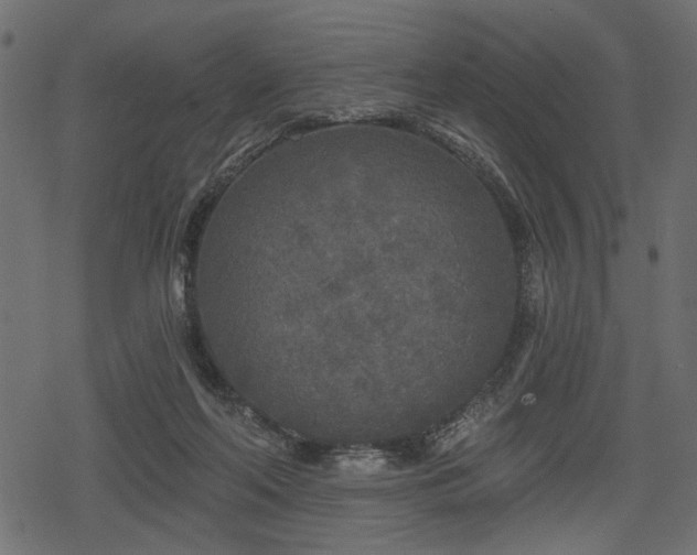 X0000078290214200611031240