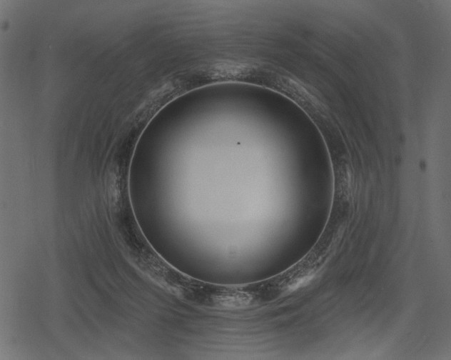 X0000078290215200611031240