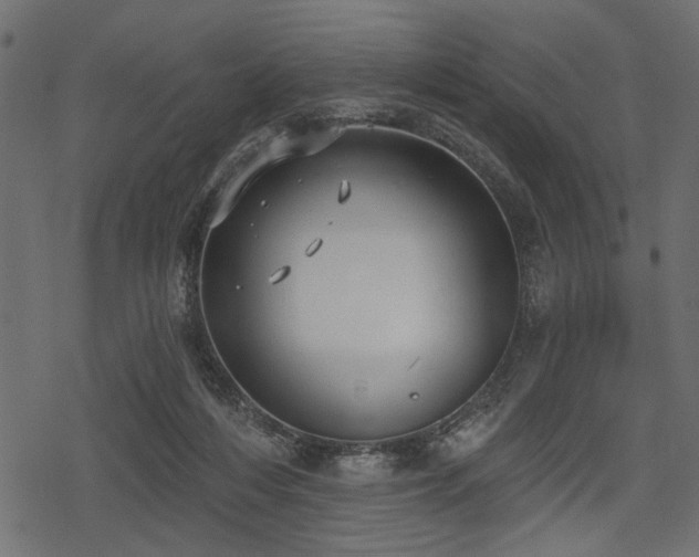 X0000078290216200611031240