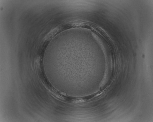 X0000078290217200611031240