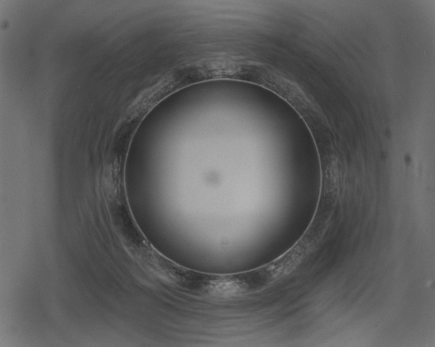 X0000078290218200611031240