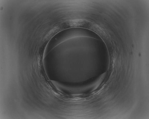 X0000078290219200611031240