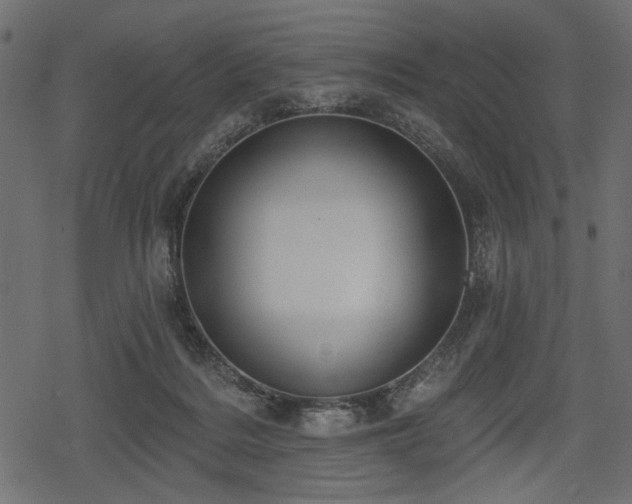 X0000078290220200611031240