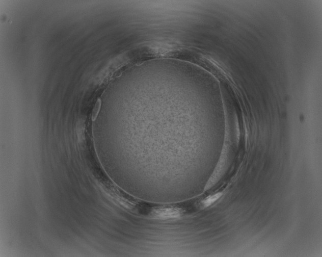 X0000078290221200611031240