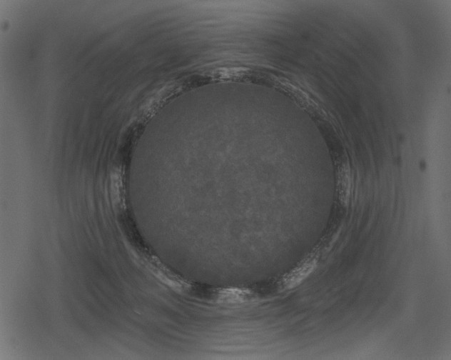 X0000078290222200611031240