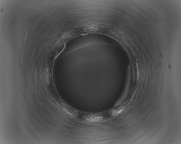 X0000078290223200611031240