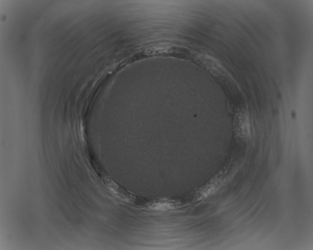 X0000078290224200611031239