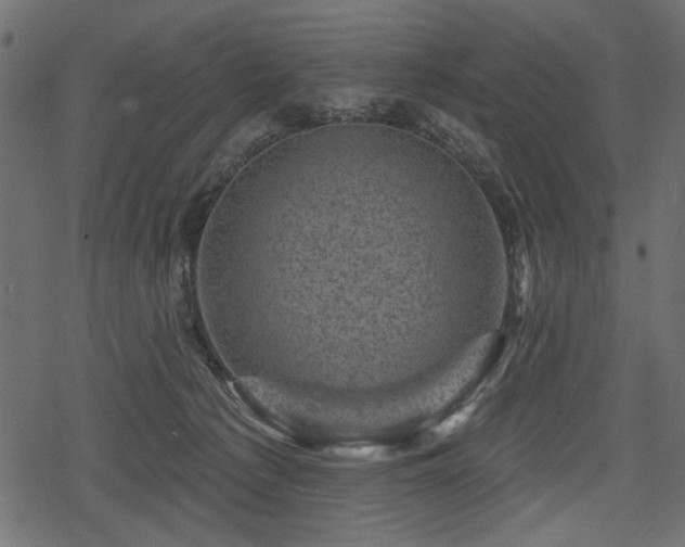 X0000078290225200611031239