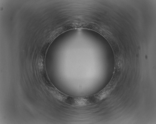 X0000078290226200611031239