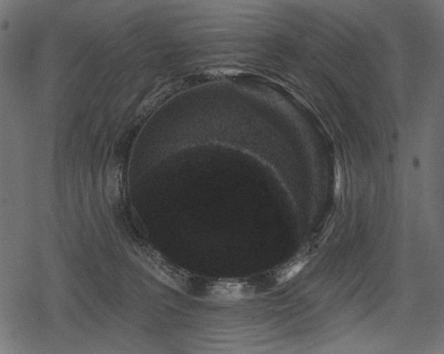 X0000078290227200611031239