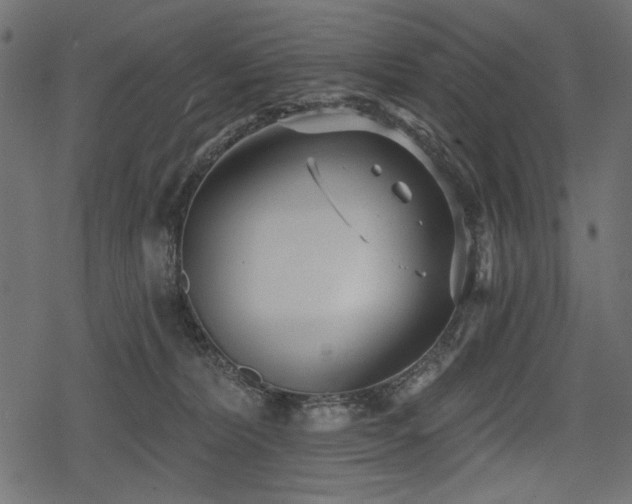 X0000078290228200611031239