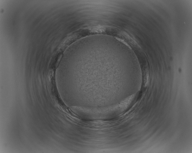 X0000078290229200611031239