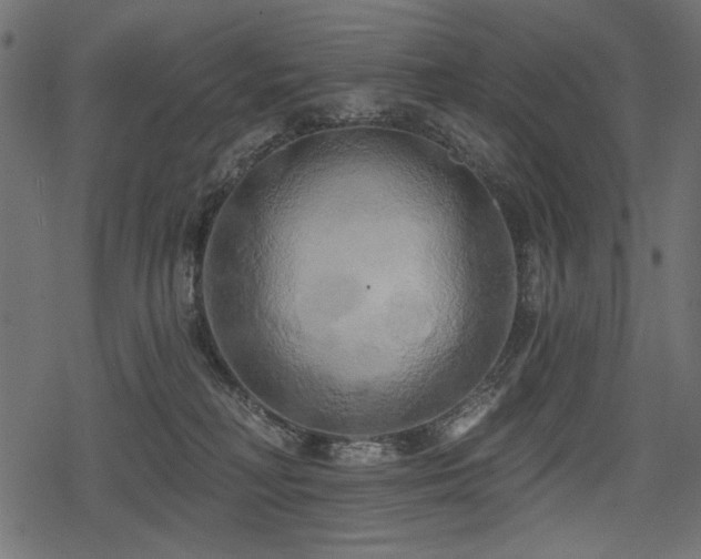 X0000078290230200611031239