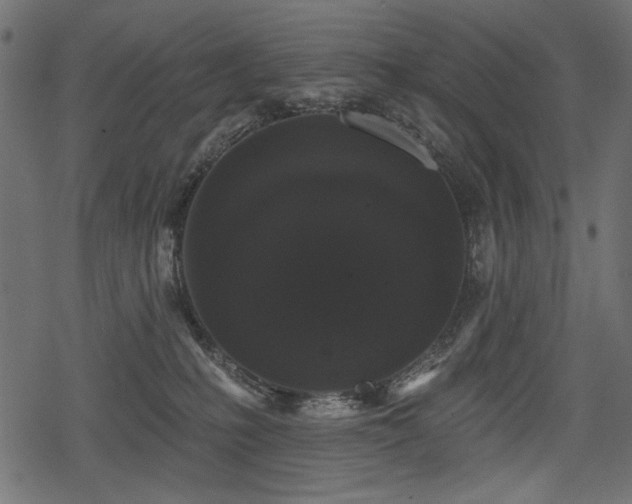 X0000078290231200611031239