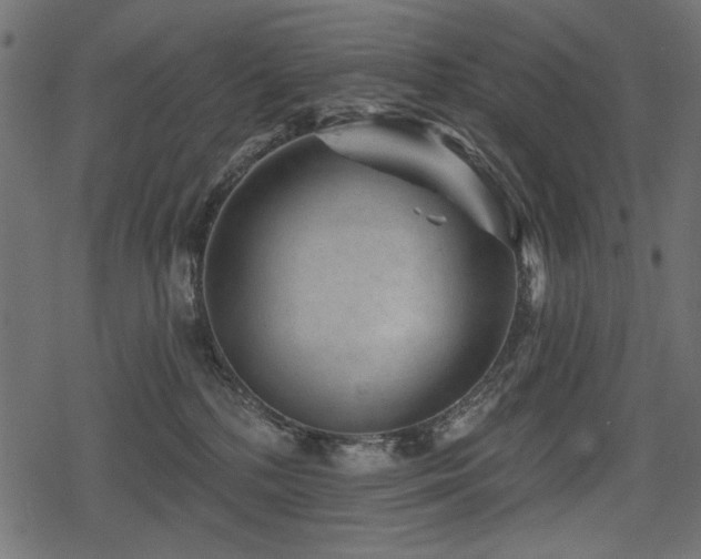 X0000078290232200611031239