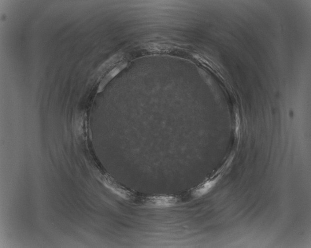 X0000078290233200611031239