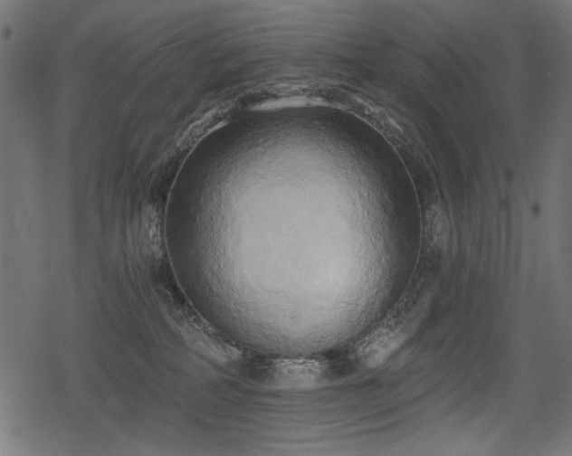 X0000078290234200611031239