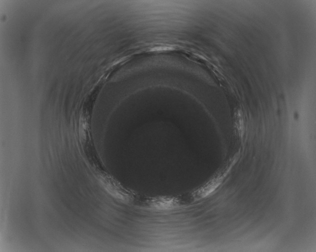 X0000078290235200611031239