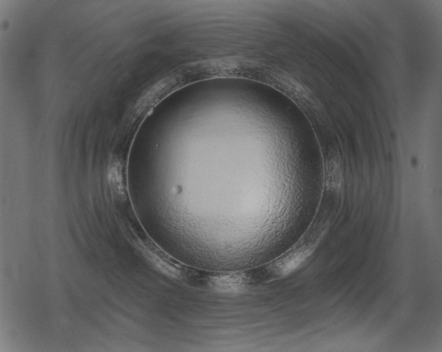 X0000078290238200611031239