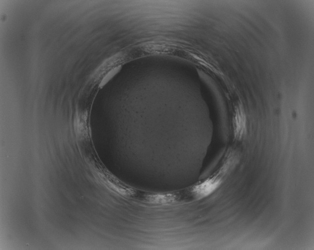 X0000078290239200611031239