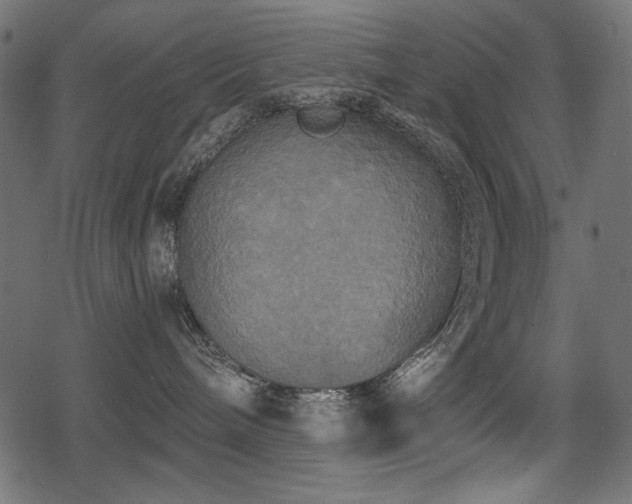 X0000078290240200611031239