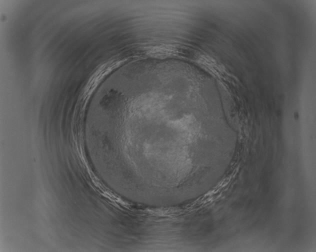 X0000078290241200611031238