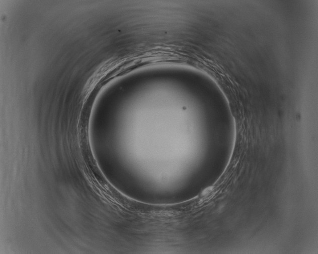 X0000078290242200611031238