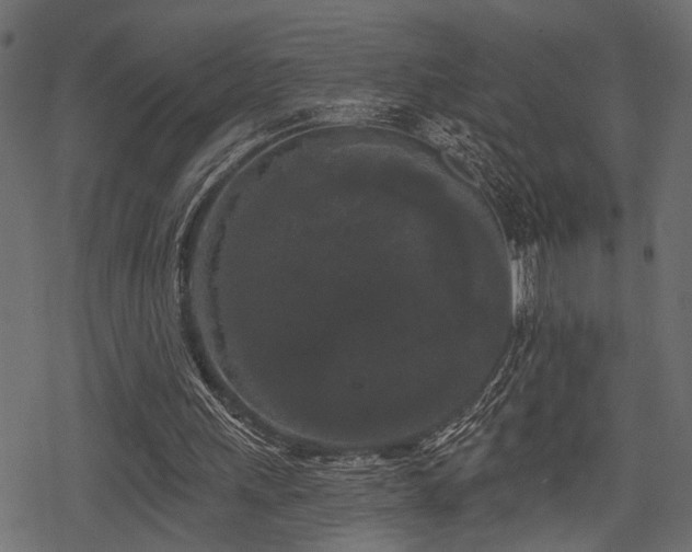 X0000078290243200611031238