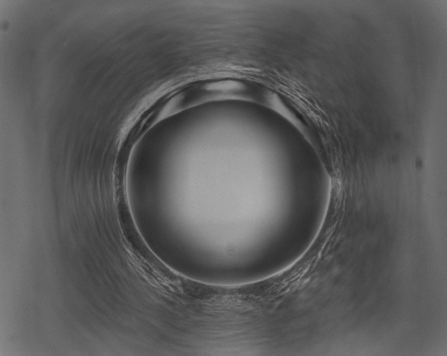 X0000078290244200611031238