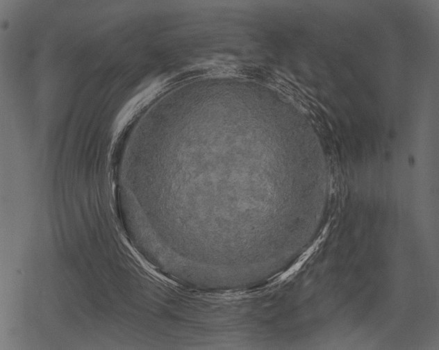 X0000078290245200611031239