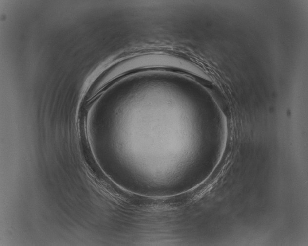 X0000078290246200611031239