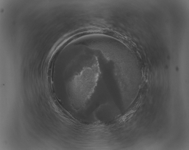 X0000078290247200611031239