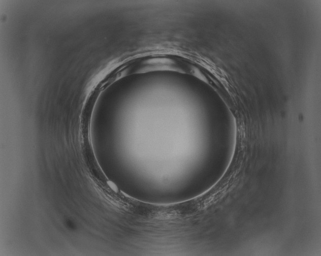 X0000078290248200611031239