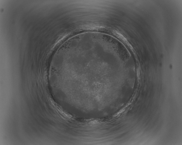 X0000078290249200611031239