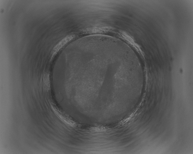 X0000078290250200611031239