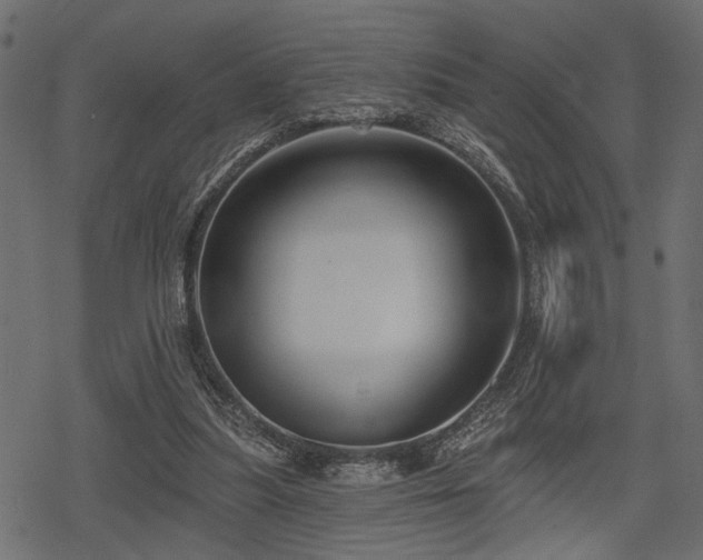 X0000078290251200611031239