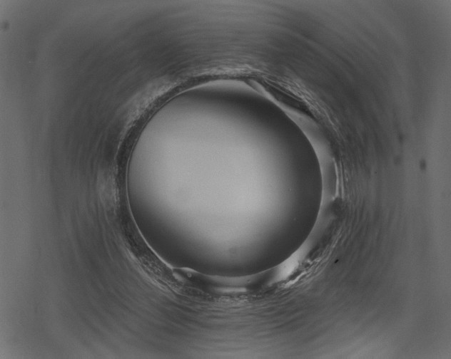 X0000078290252200611031239