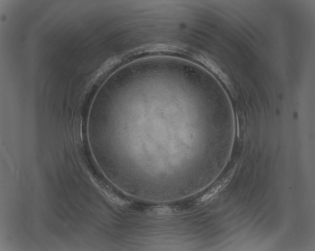 X0000078290253200611031239