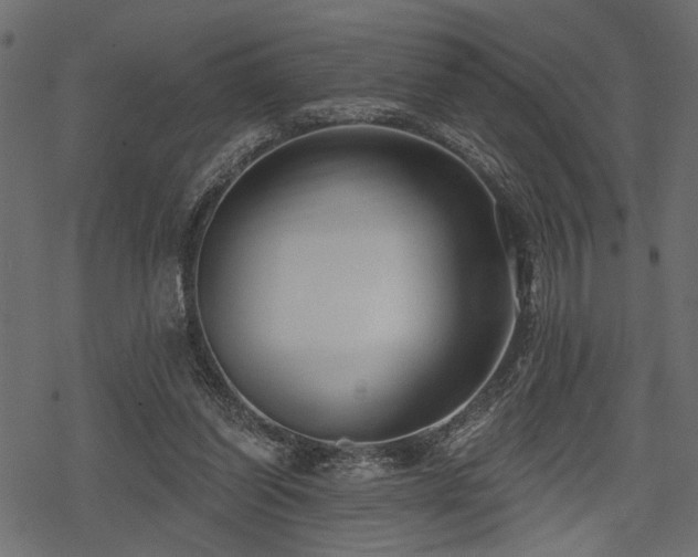 X0000078290254200611031239