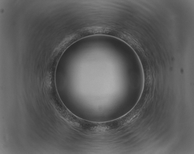 X0000078290255200611031239