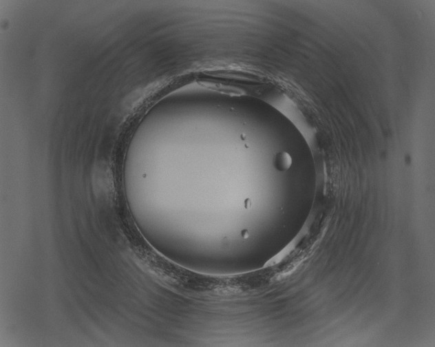 X0000078290256200611031239