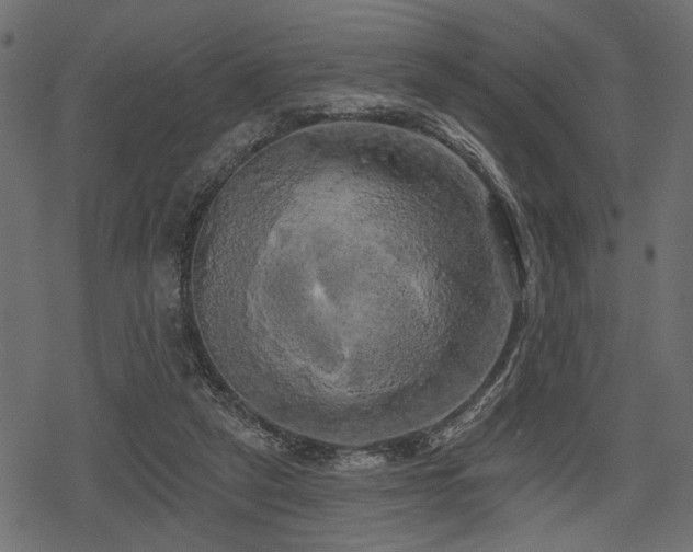 X0000078290257200611031239