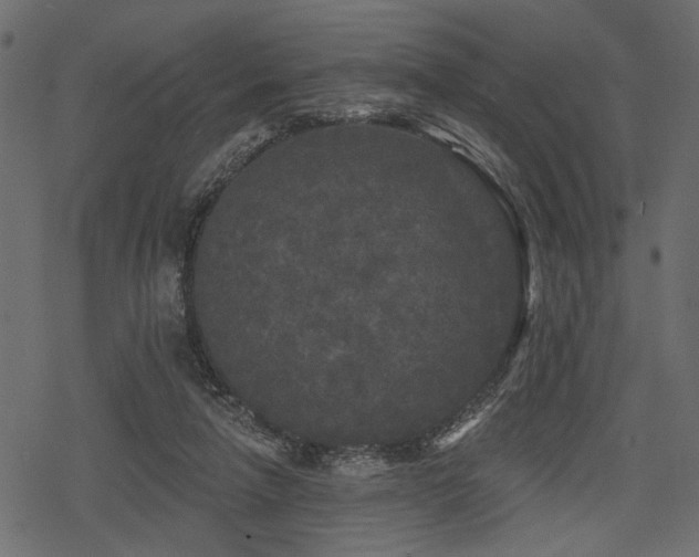 X0000078290258200611031239