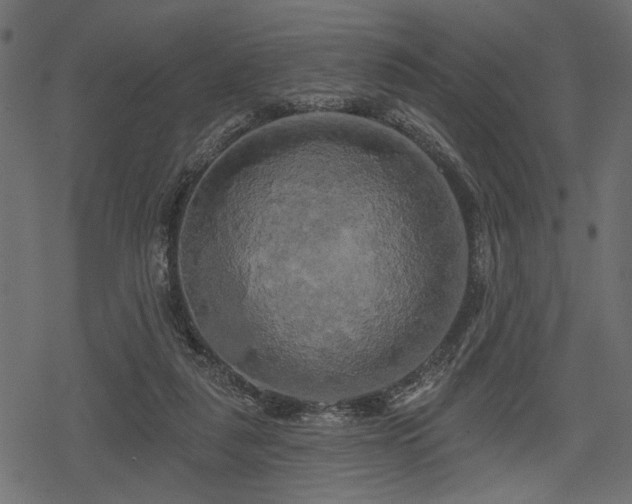 X0000078290259200611031239