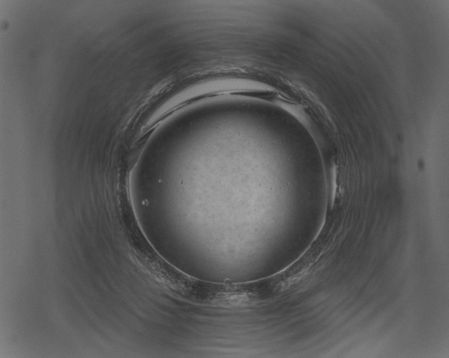 X0000078290260200611031239