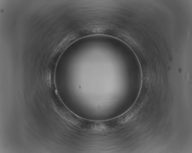 X0000078290262200611031239