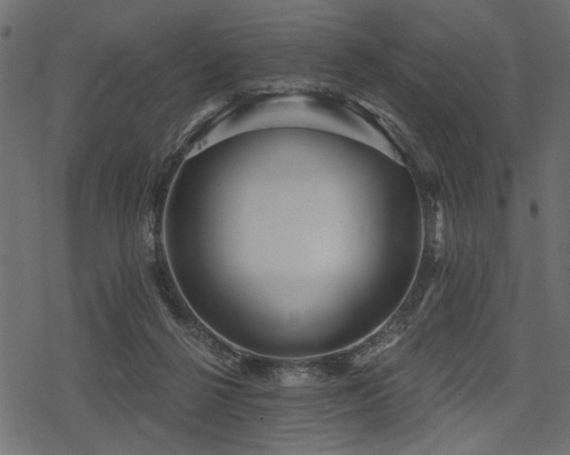 X0000078290264200611031239